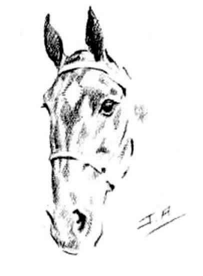 HORSE PORTRAIT by JOSEPH APPLEYARD