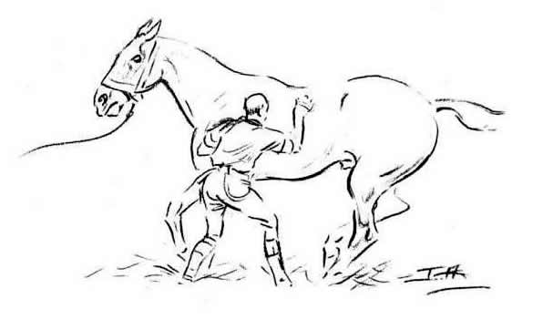 COACH HORSE by JOSEPH APPLEYARD