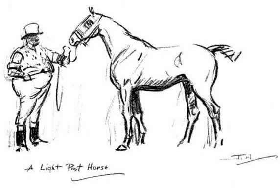 A LIGHT POST HORSE by JOSEPH APPLEYARD