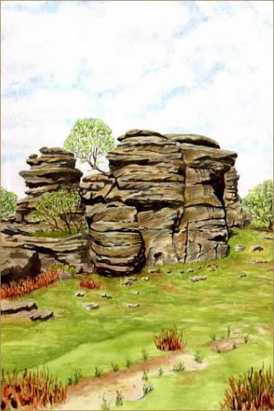 BRIMHAM ROCKS painted by DAVID APPLEYARD