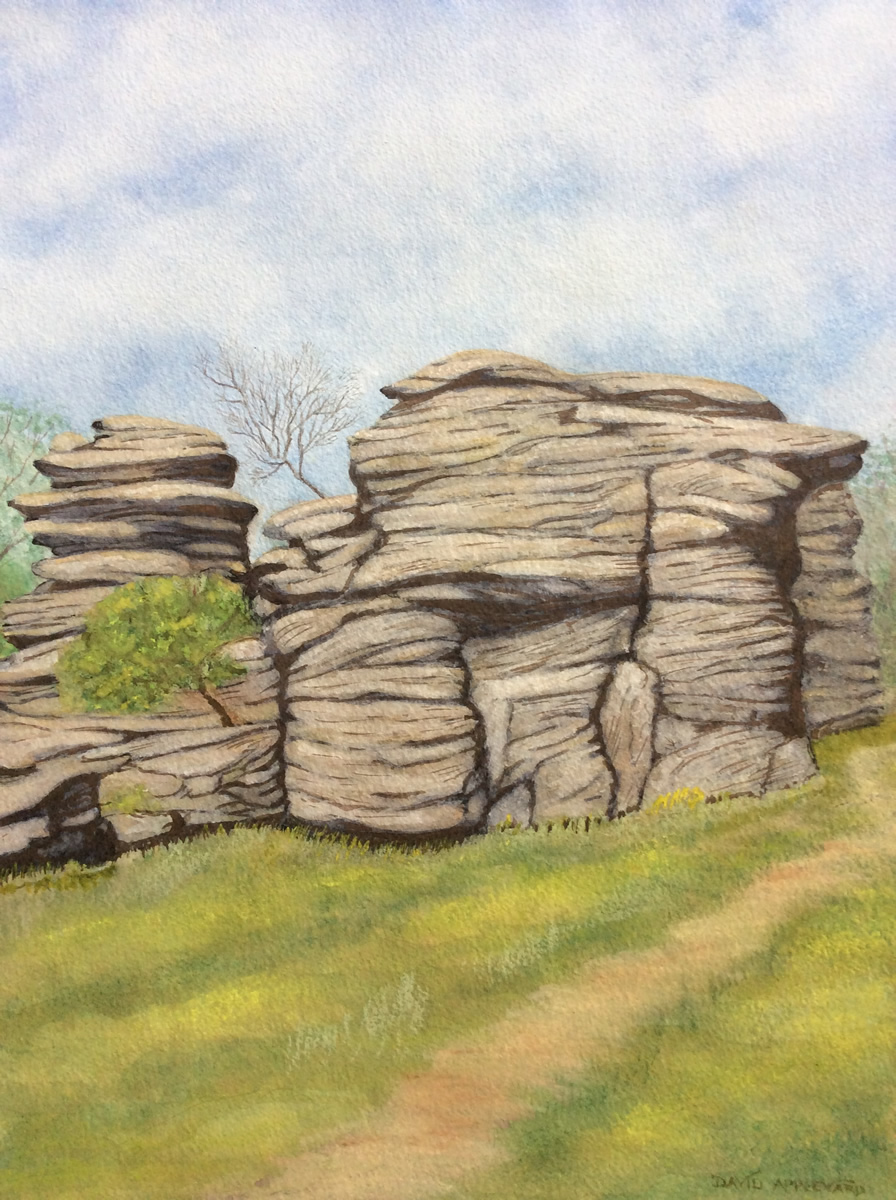 BRIMHAM ROCKS painted by DAVID APPLEYARD