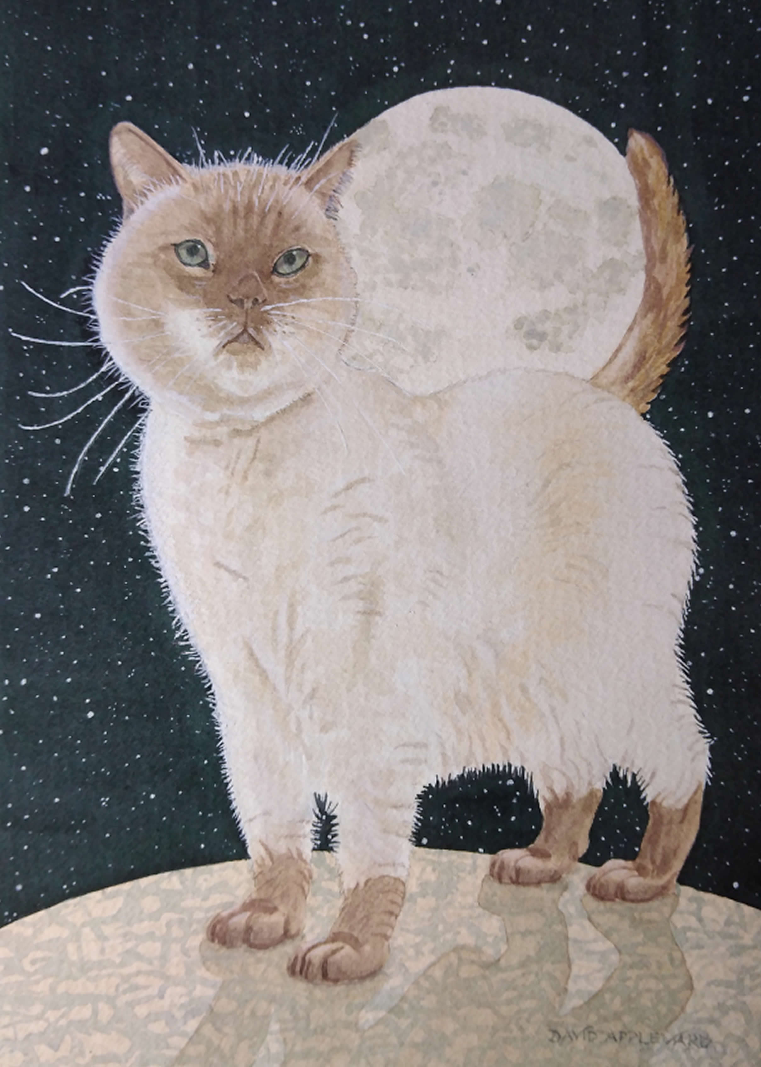 MOONFLEUR painted by DAVID APPLEYARD